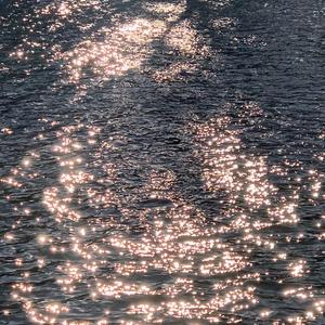 疯狂炖肉校花的日记最新消息
